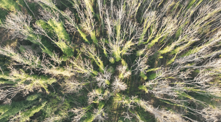 photo-marais7-1024x568