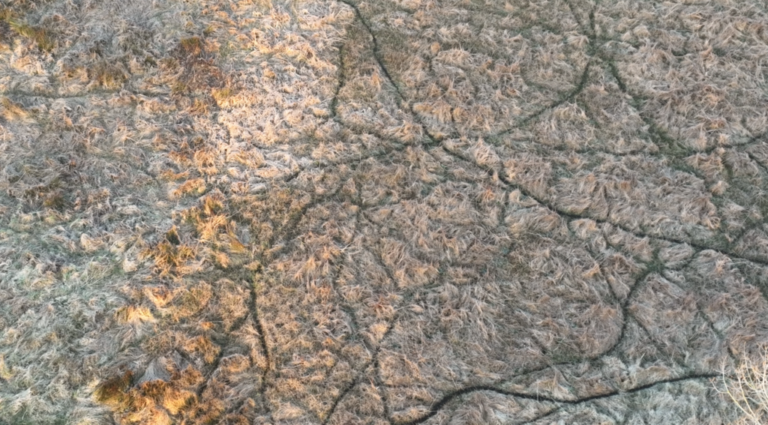 photo-marais9-1024x567